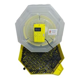 Incubator Cleo 5 cu termometru digital, întoarcere semi-automată ouă de prepeliţă şi cupă exterioară pt. apă