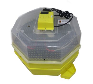 Incubator Cleo 5 cu etaj şi termohigrometru digital oua gaina puisor