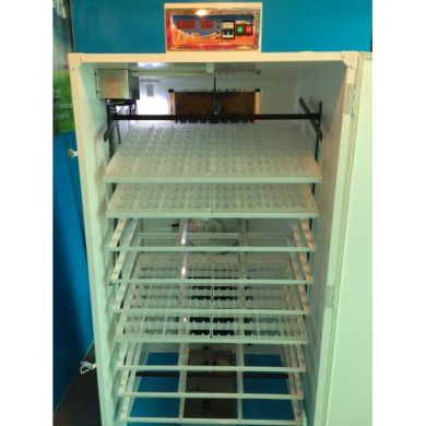 ip-6-incubator-automat-gaina-prepelita-gasca-rata-curca-computer-digital