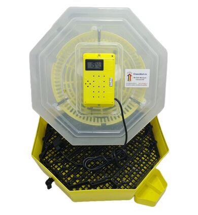 Incubator Cleo 5 cu termometru digital, întoarcere semi-automată ouă de prepeliţă şi cupă exterioară pt. apă