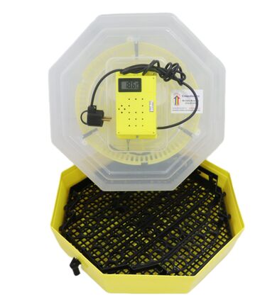 Incubator Cleo 5 cu termometru digital şi întoarcere semi-automată ouă de puisor prepeliţă