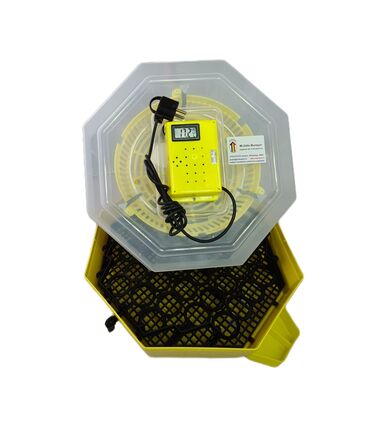 Incubator Cleo 5 cu termohigrometru digital, întoarcere semi-automată ouă de găină şi cupă exterioară pt. apă