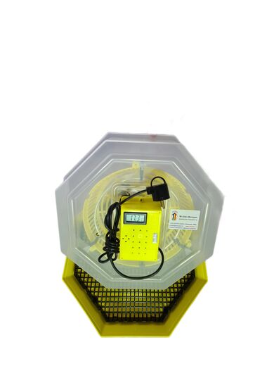 Incubator Cleo 5 cu termometru digital şi cupă exterioară pt. apă clocitoare oua gaina prepelita rata gasca bibilica fazan puisor