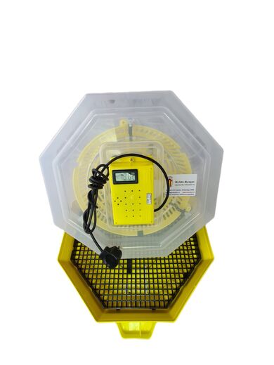 Incubator Cleo 5 cu termometru digital şi cupă exterioară pt. apă clocitoare oua gaina prepelita rata gasca bibilica fazan puisor
