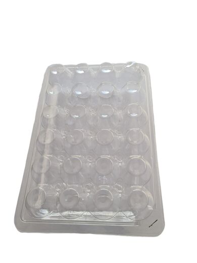 Caserole de plastic pentru 24 oua de prepelita