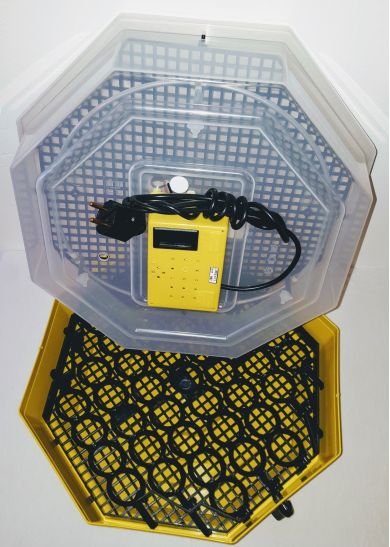 Incubator Cleo 5 cu termohigrometru digital şi întoarcere semi-automată ouă de găină