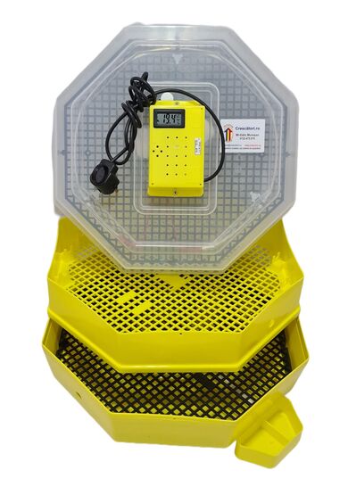 Incubator Cleo 5 cu etaj şi termohigrometru digital oua gaina puisor