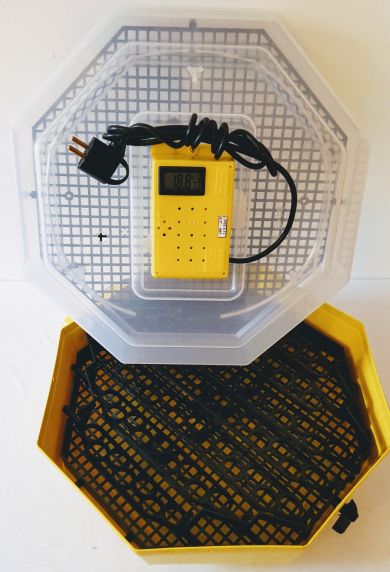 Incubator Cleo 5 cu termohigrometru digital şi întoarcere semi-automată ouă de găină & prepeliţă