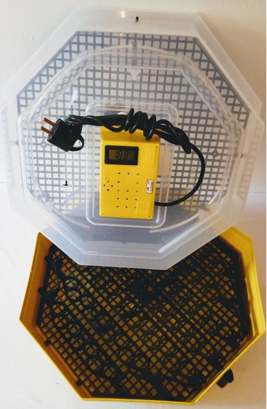 Incubator Cleo 5 cu termohigrometru digital şi întoarcere semi-automată ouă de prepeliţă