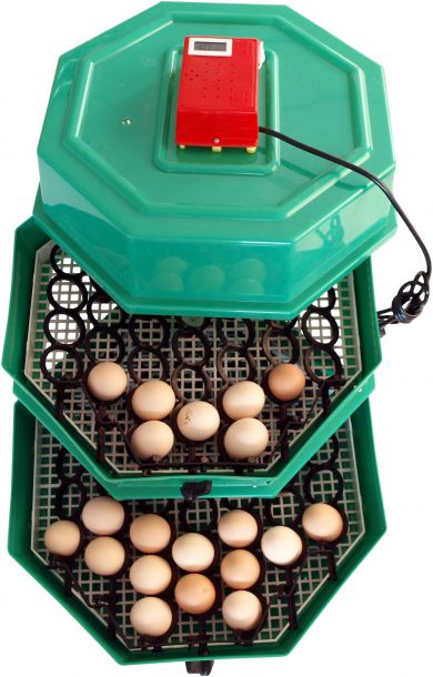 Incubator Cleo 5 cu etaj, termohigrometru digital şi întoarcere semi-automată ouă de găină.