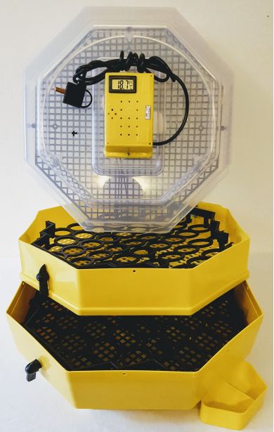 Incubator Cleo 5 cu etaj, termohigrometru digital, întoarcere semi-automată ouă de găină şi cupă exterioară pt. apă