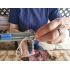 Cleste patent pistol capsator pentru salam mezeluri de casa